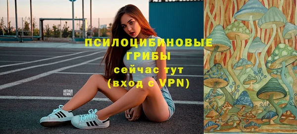 соль курить ск Каменка