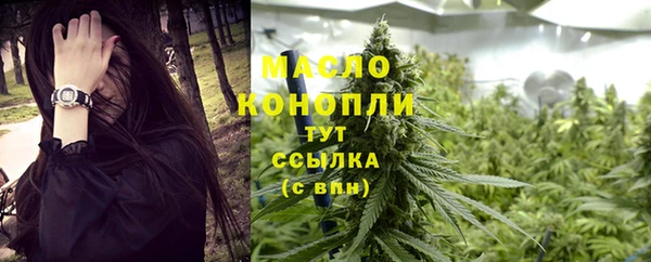 стафф Каменногорск
