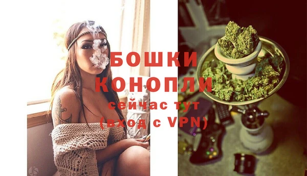 стафф Каменногорск