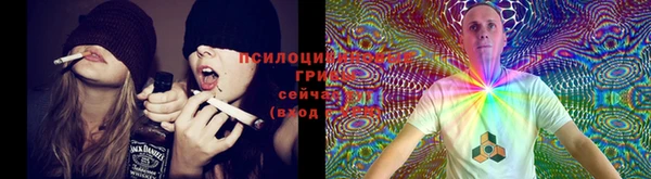 стафф Каменногорск